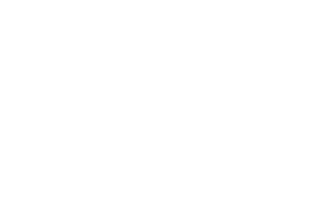 Double Eleven Studio Logo