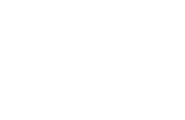 Stunlock Studio Logo