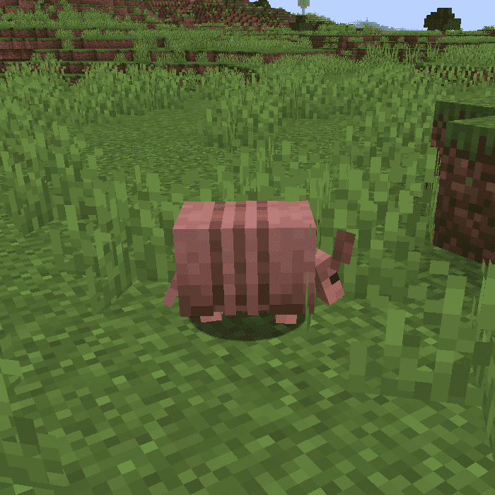 Don't Scare the Minecraft Armadillo Away