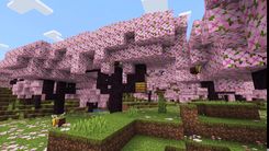 Minecraft cherry blossom biome